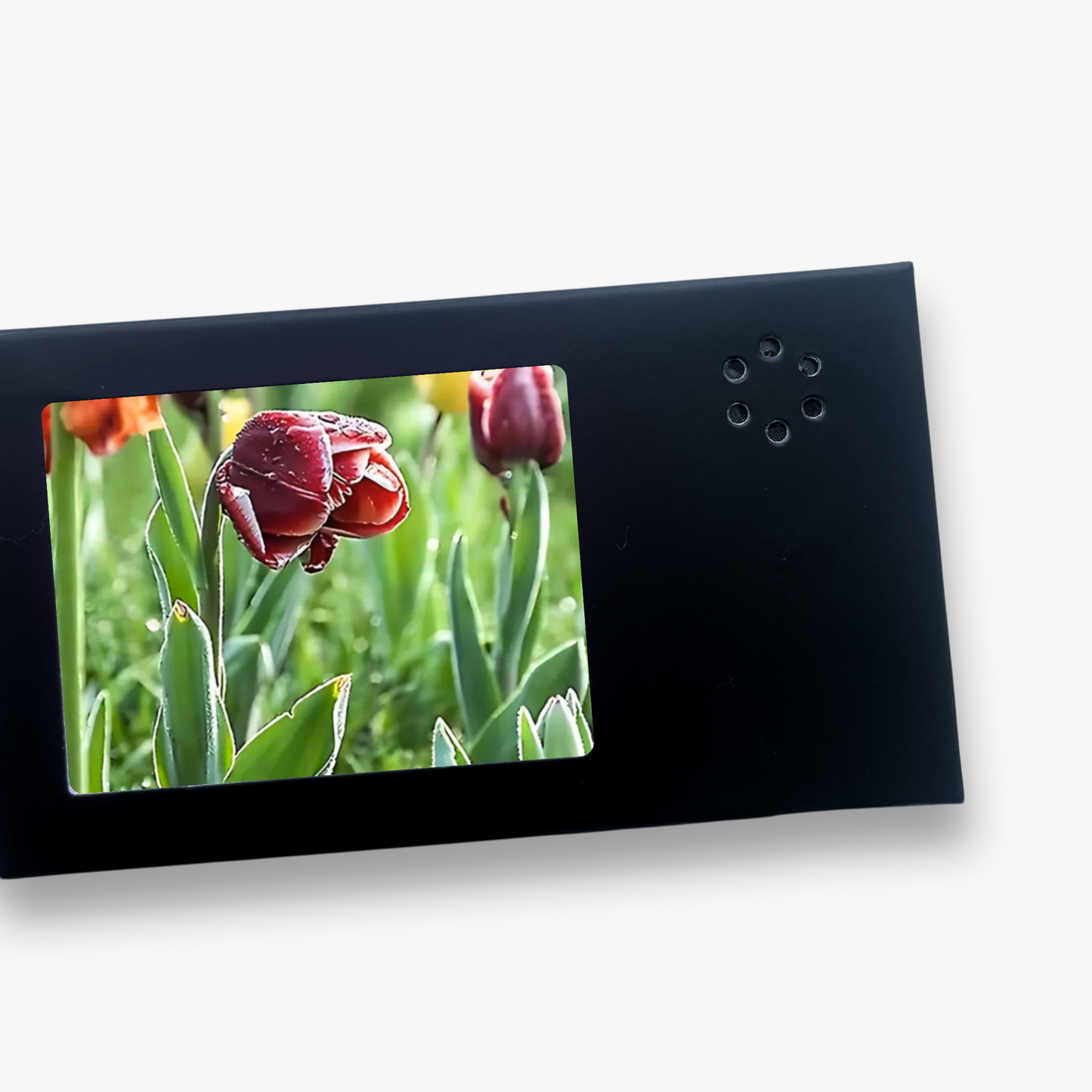 LoveFrame – O Jeito Diferente de Dizer "Eu Te Amo"