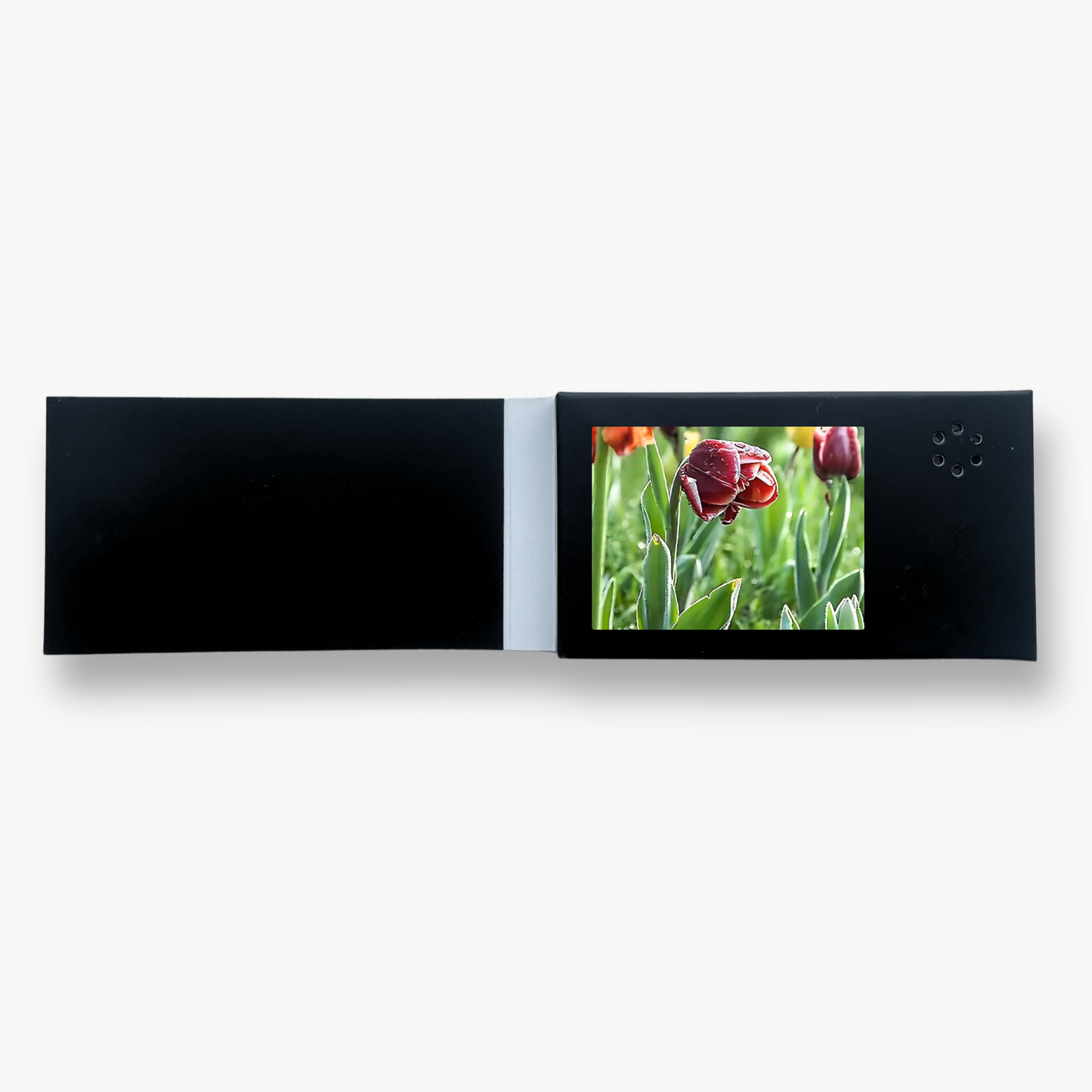LoveFrame – O Jeito Diferente de Dizer "Eu Te Amo"