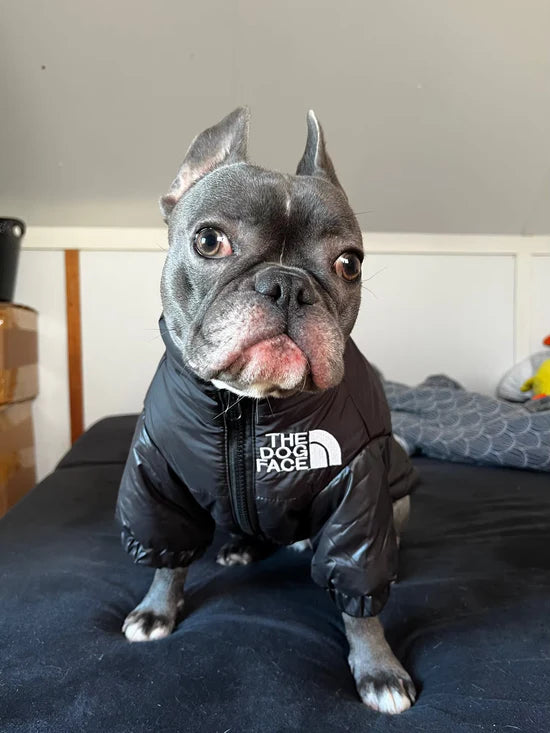 TheDogPuffer™ Casaco