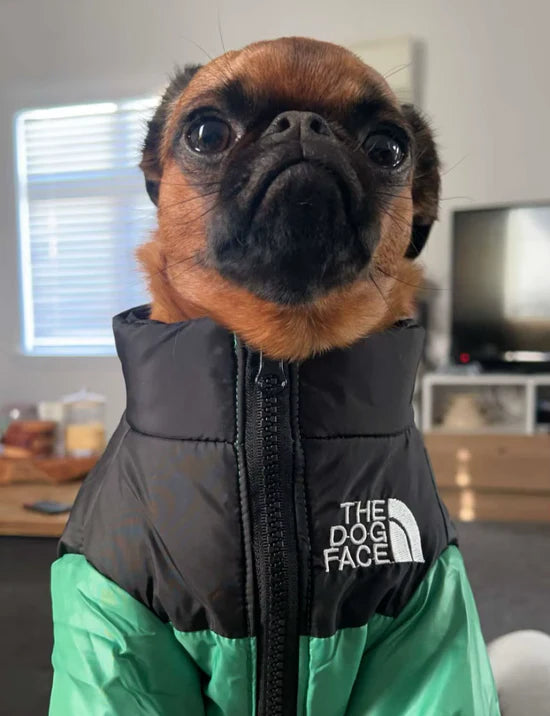 TheDogPuffer™ Casaco