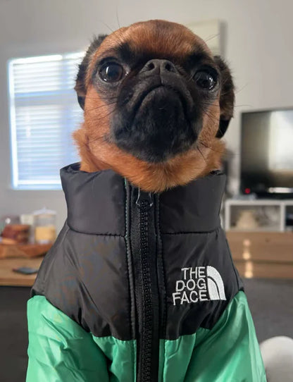 TheDogPuffer™ Casaco