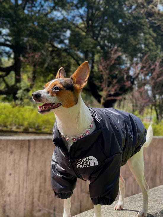 TheDogPuffer™ Casaco