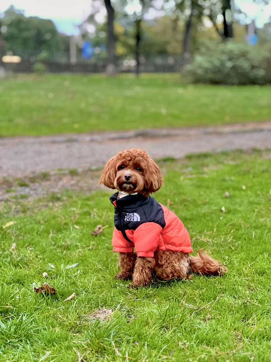 TheDogPuffer™ Casaco