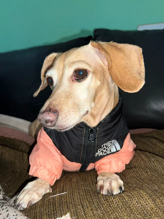 TheDogPuffer™ Casaco